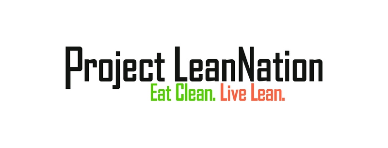 PLN-Logo project leannation logo